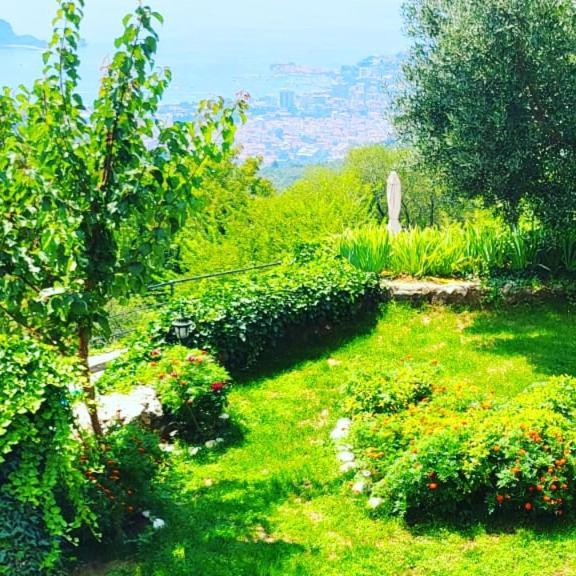 Villa Nera Budva Kültér fotó