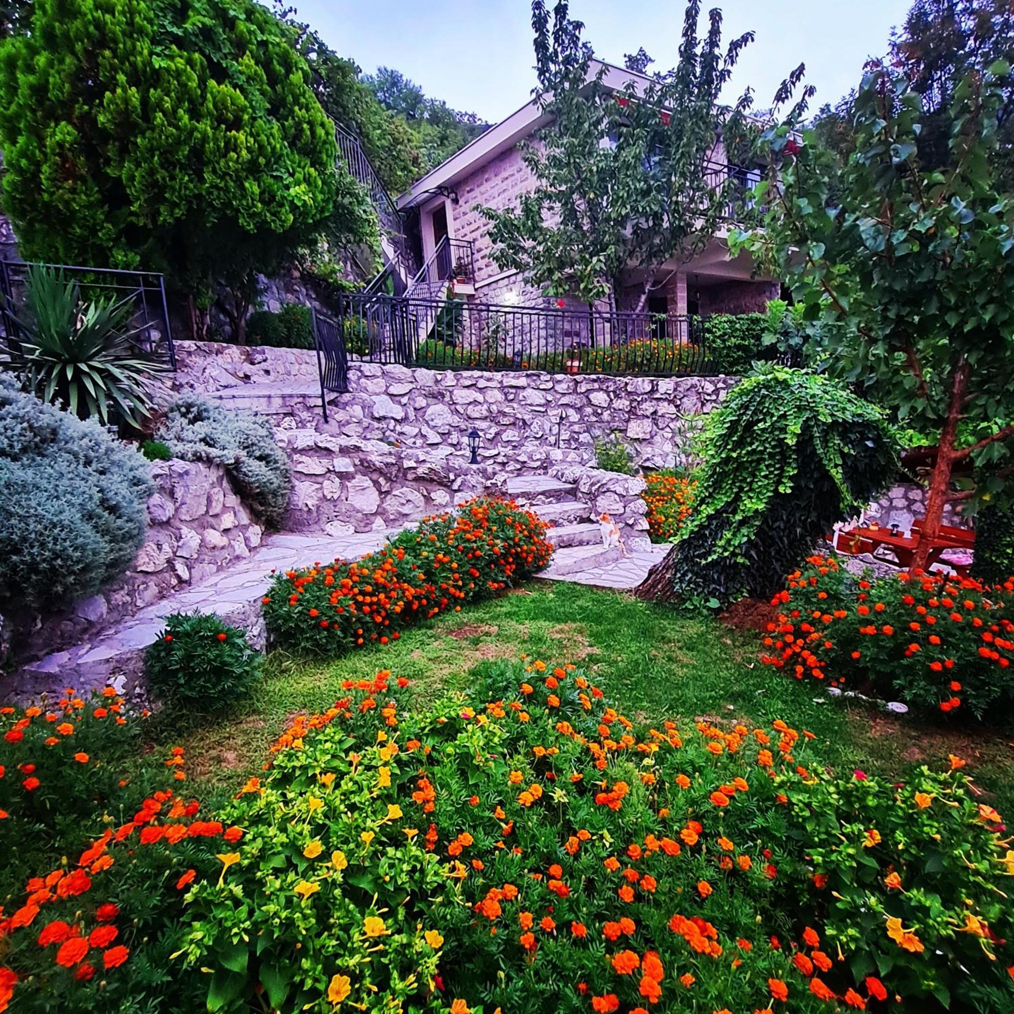 Villa Nera Budva Kültér fotó